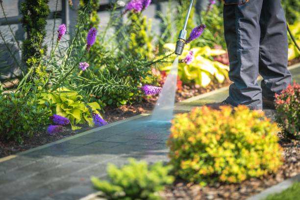 Professional Pressure Washing Services in Roebling, NJ